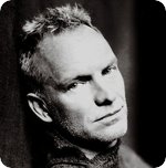 sting.jpg